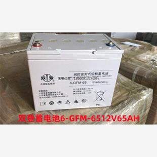 双登蓄电池6 65免维护铅酸蓄电池12V65AH通用应急UPS直流屏 GFM