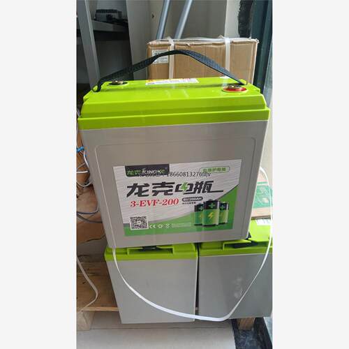 龙克蓄电池6V200AH3-EVF-200电动汽车小火车洗地机扫地车巡逻车