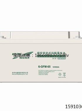 KELONG科华蓄电池6-GFM-65-YT精卫 12V65AH UPS电源直流屏