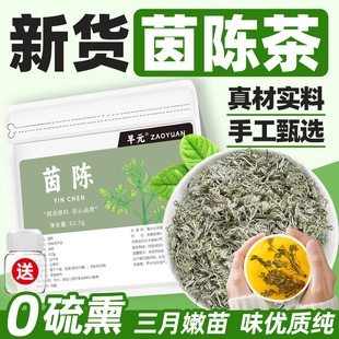 茵陈茶新鲜正品中式药材独立包装非野生非养生茶熬夜泡茶泡水喝的