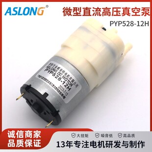 528-12H真空泵微型直流泡沫 喷雾补水仪消毒雾化器 12v大压力气泵