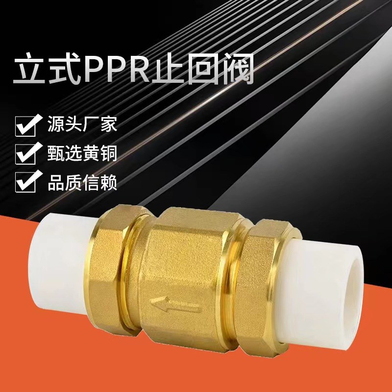 ppr4/6分/1寸止回阀黄铜立式逆止20/25PPR双活接自来水管表单向阀