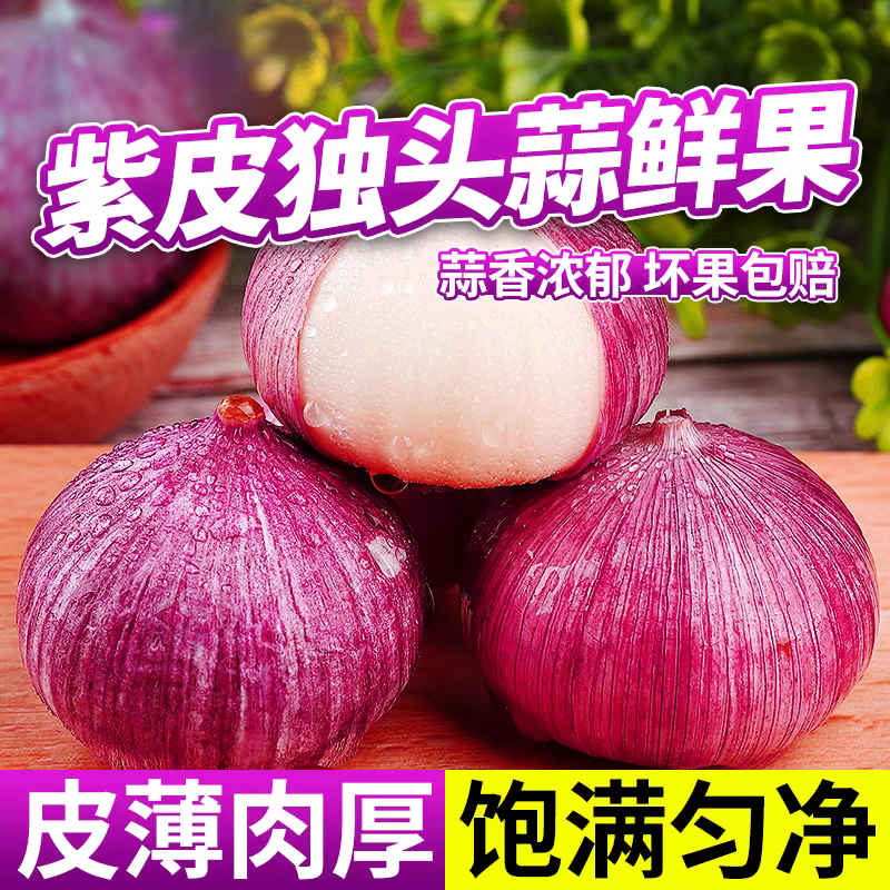 2026年紫皮新大蒜鲜蒜当季新鲜现挖独头蒜湿蒜红皮蒜大蒜批发