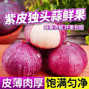 2025年云南紫皮新大蒜农家新晒干独头蒜干蒜头红皮蒜大蒜批发蔬菜