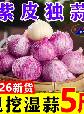 2026年农家紫皮独头蒜红皮鲜蒜独蒜新大蒜新鲜现挖湿蒜蔬菜非干蒜