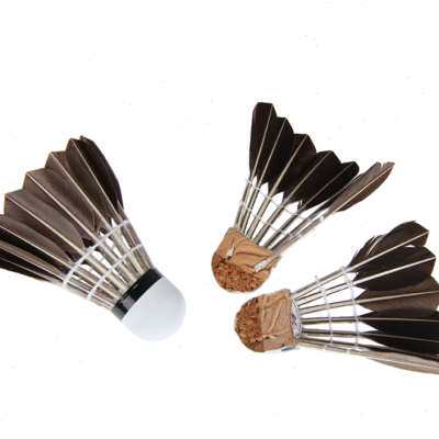 羽毛球 12只装阿姆斯黑色耐打王不易烂鹅毛球 室内外训练比赛用球