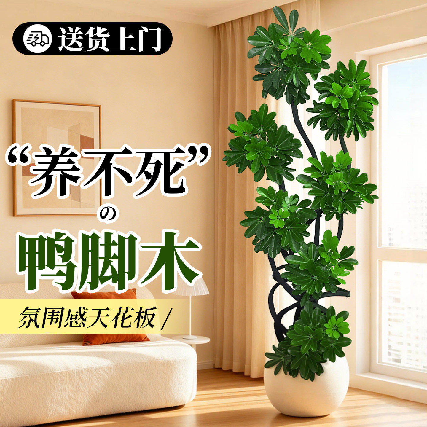 造型鸭脚木客厅绿植高级感室内大型盆栽高端大气上档次落地鸭掌木