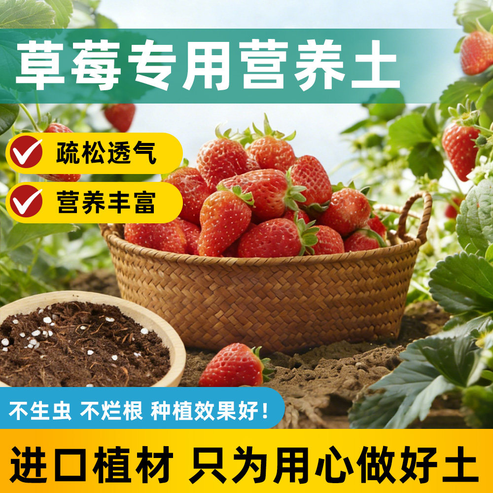 新洋丰草莓专用营养土阳台泥炭土壤种植土蔬菜水果种菜家庭专用土,鲜花速递/花卉仿真/绿植园艺,介质/营养土,淘宝优惠券,粉丝福利购,淘宝优惠卷