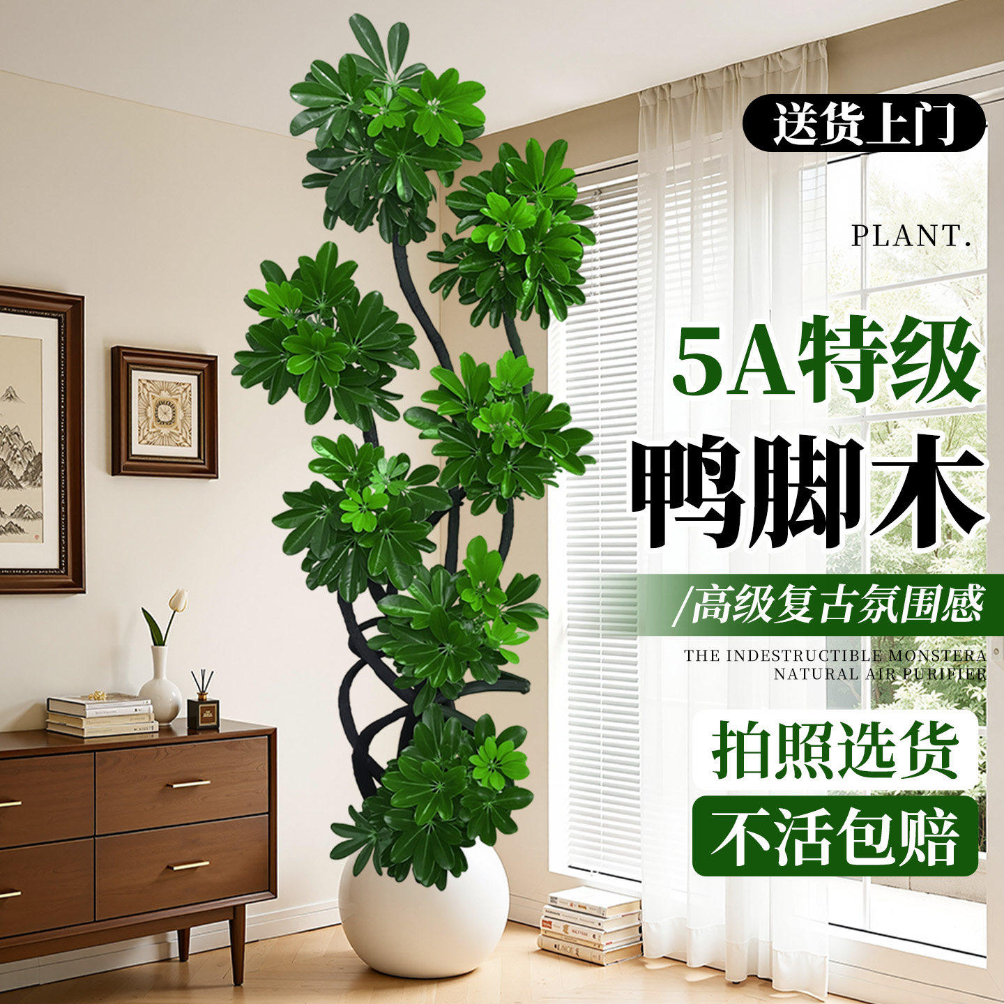 新洋丰鸭脚木客厅大型绿植盆栽高级感室内植物鸭掌木造型鹅掌柴
