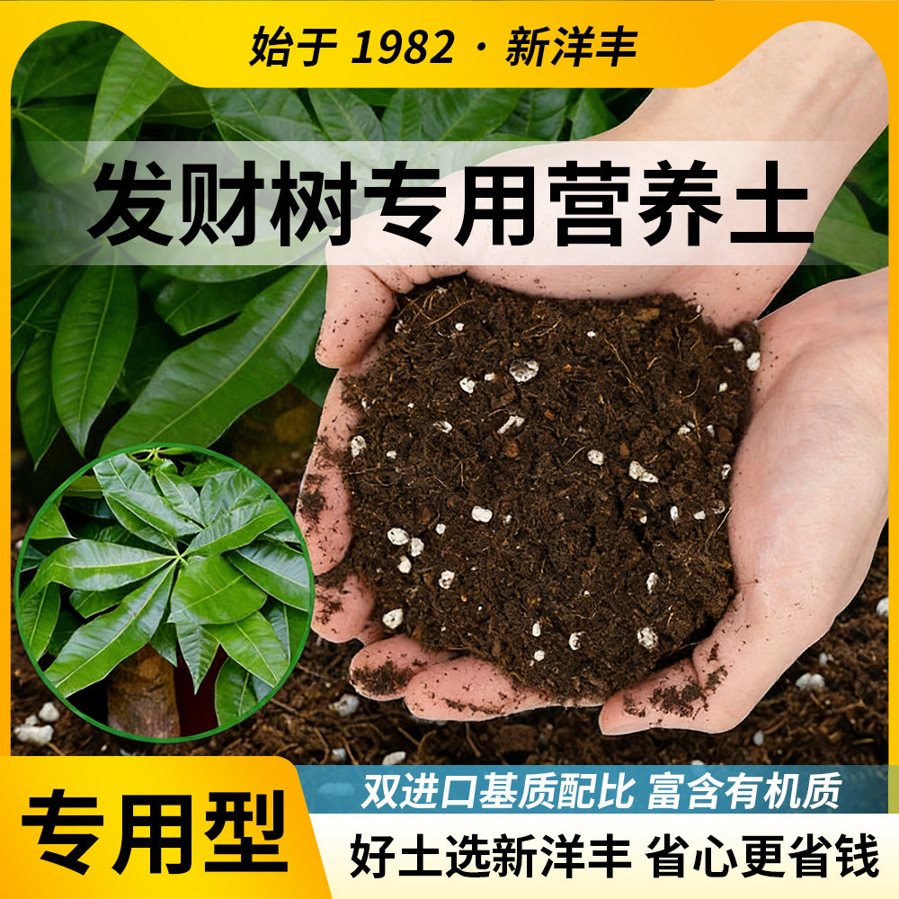 新洋丰发财树专用营养土通用型家用盆栽兰花专用土壤种植花土泥炭,鲜花速递/花卉仿真/绿植园艺,介质/营养土,淘宝优惠券,粉丝福利购,淘宝优惠卷