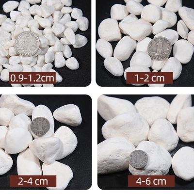 白色鹅卵石枯山水景观石子铺地小白石头黄色石子庭院造景白石子