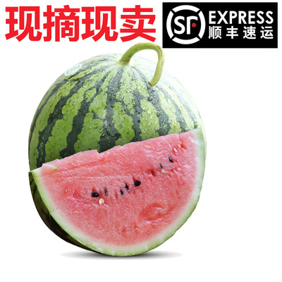 现摘现卖麒麟西瓜6斤左右汁多清甜海南直发