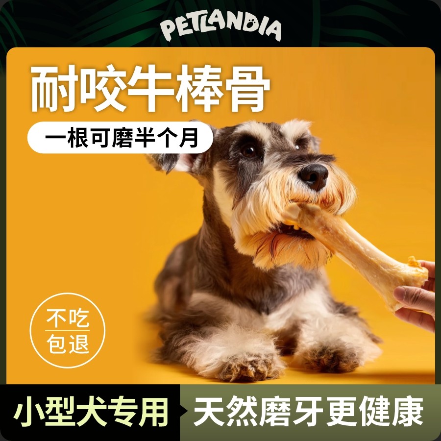 佩特兰迪狗磨牙棒狗零食牛棒骨大骨头小型犬幼犬泰迪柯基训犬奖励,宠物/宠物食品及用品,狗风干零食/肉干/肉条,淘宝优惠券,粉丝福利购,淘宝优惠卷