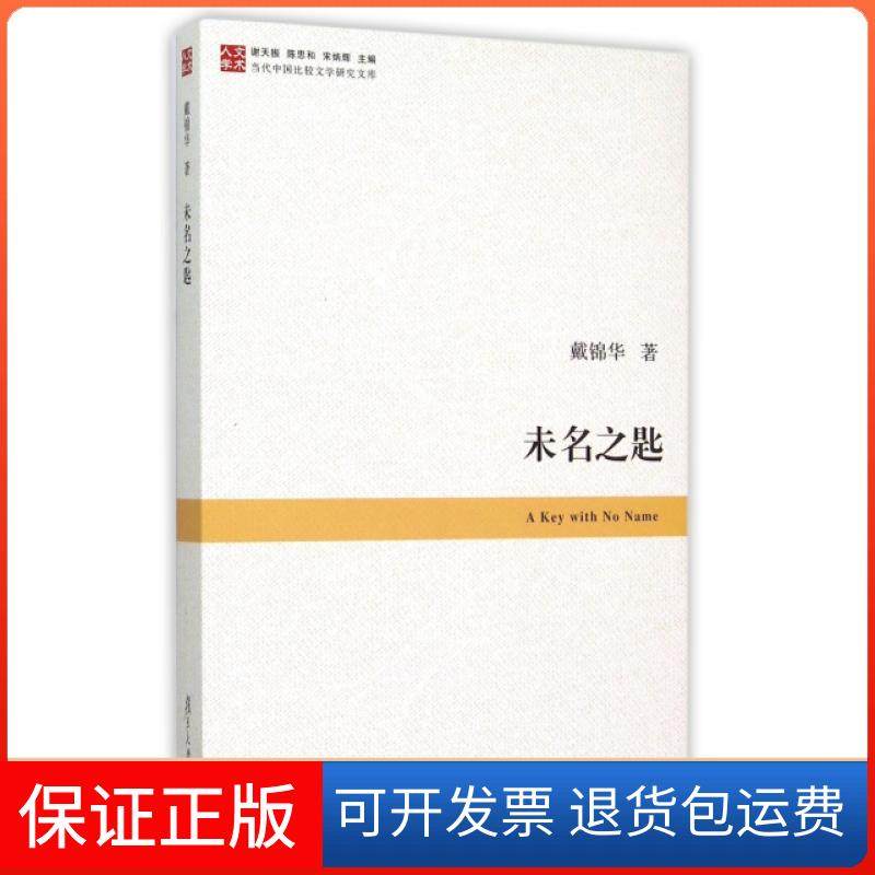 【保正版】未名之匙/当代中国比较文学研究文库戴锦华|总主编:谢天振//陈思和//宋炳辉复旦大学9787309109160