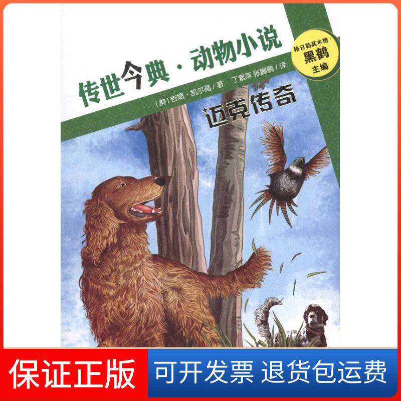 【保正版】迈克传奇（美）凯尔高 著作 丁素萍 张鹏鹏 译者外语教学与研究出版社9787513517034