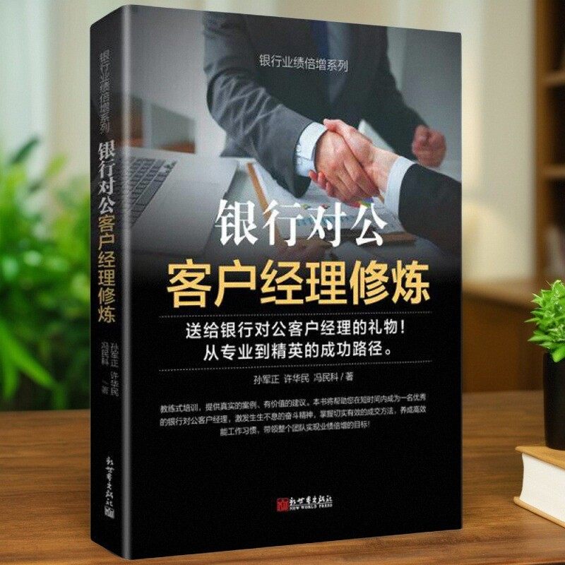 银行对公客户经理修炼孙军正