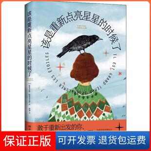 【保正版】该是重新点亮星星的时候了(法)维尔吉妮·格里马尔蒂湖南文艺出版社9787540496173
