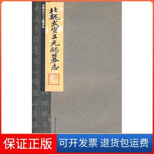 【保正版】北魏武宣王元勰墓陽重庆出版社9787229000899