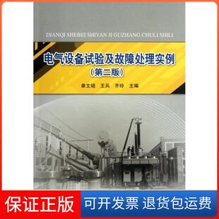 保正版 王兵 电气设备试验及故障处理实例 单文培 齐玲中国水利水电9787508498652 第2版