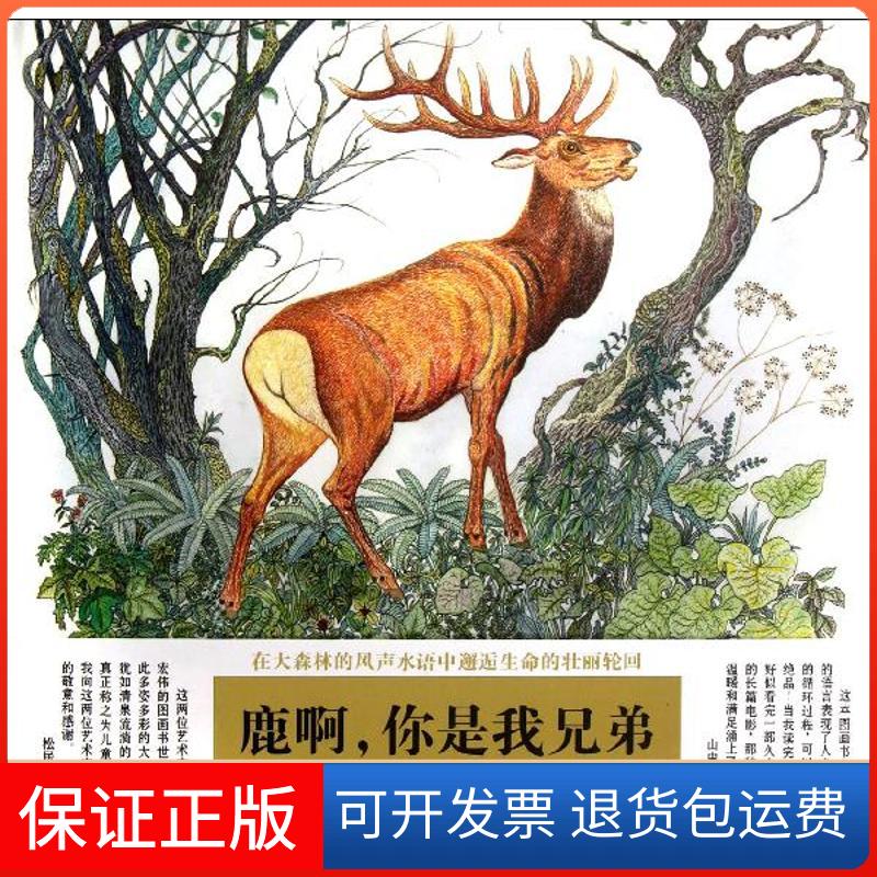 【保正版】鹿啊,你是我兄弟(日)神泽利子 著作 唐亚明 译者二十一世纪出版社9787539167046