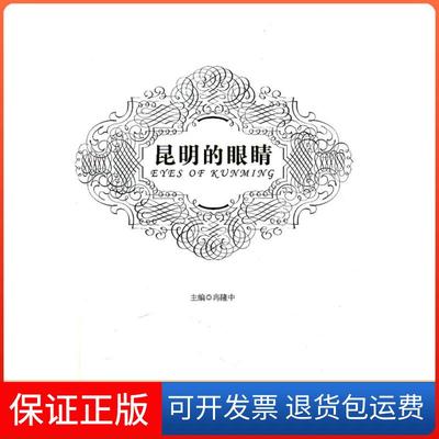 【保正版】昆明的眼睛冉隆中云南人民出版社9787222083936