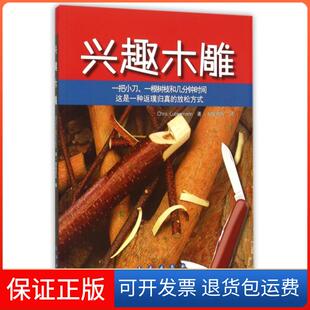 【保正版】兴趣木雕(美)卢克曼|译者:智昊团队长春9787544536080