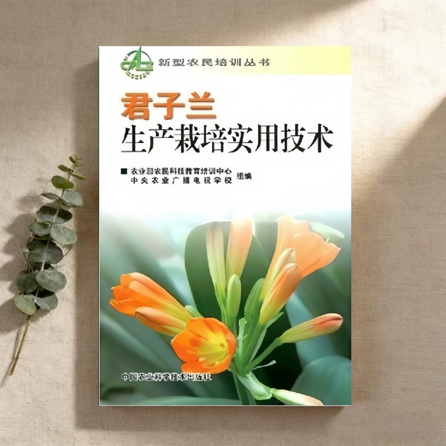 君子兰生产栽培实用技术李瑞昌