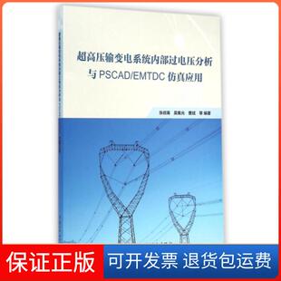曹斌 吴集光 超高压输变电系统内部过电压分析与PSCADEMTDC应用张叔禹 张鹏中国水利水电9787517026884 保正版