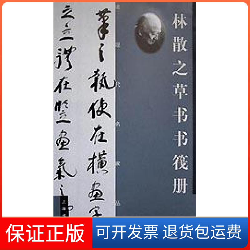 【保正版】近现代名家丛帖:林散之草书书筏林散之上海书画出版社9787806356029