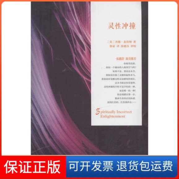 【保正版】灵冲撞杰德·麦肯纳 著作 鲁宓 译者华夏出版社9787508081137