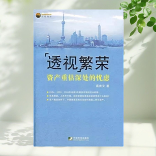 保证正版 中国市场出版 透视繁荣资产重估深处 高善文著 社 忧虑