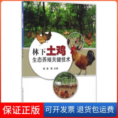 【保正版】林下土鸡生态养殖关键技术黄勇 等 主编中国农业科学技术出版社9787511627315