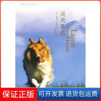 【保正版】灵犬莱茜（美）奈特 蒋玉洁天津教育出版社9787530955819