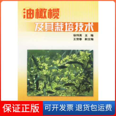 【保正版】油橄榄及其栽培技术徐纬英中国林业出版社9787503838149
