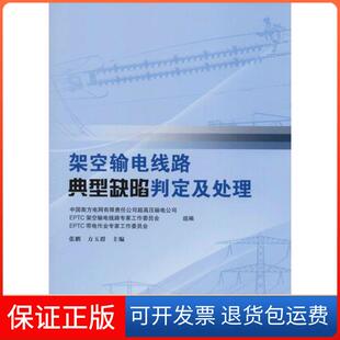 【保正版】架空输电线路典型缺陷判定及处理