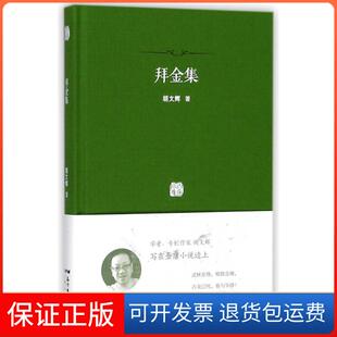 【保正版】拜金集胡文辉广东人民出版社有限公司9787218124995