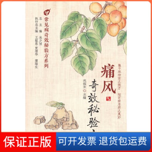 【保正版】痛风秘验方巩振东 编中国医药科技出版社9787521425994