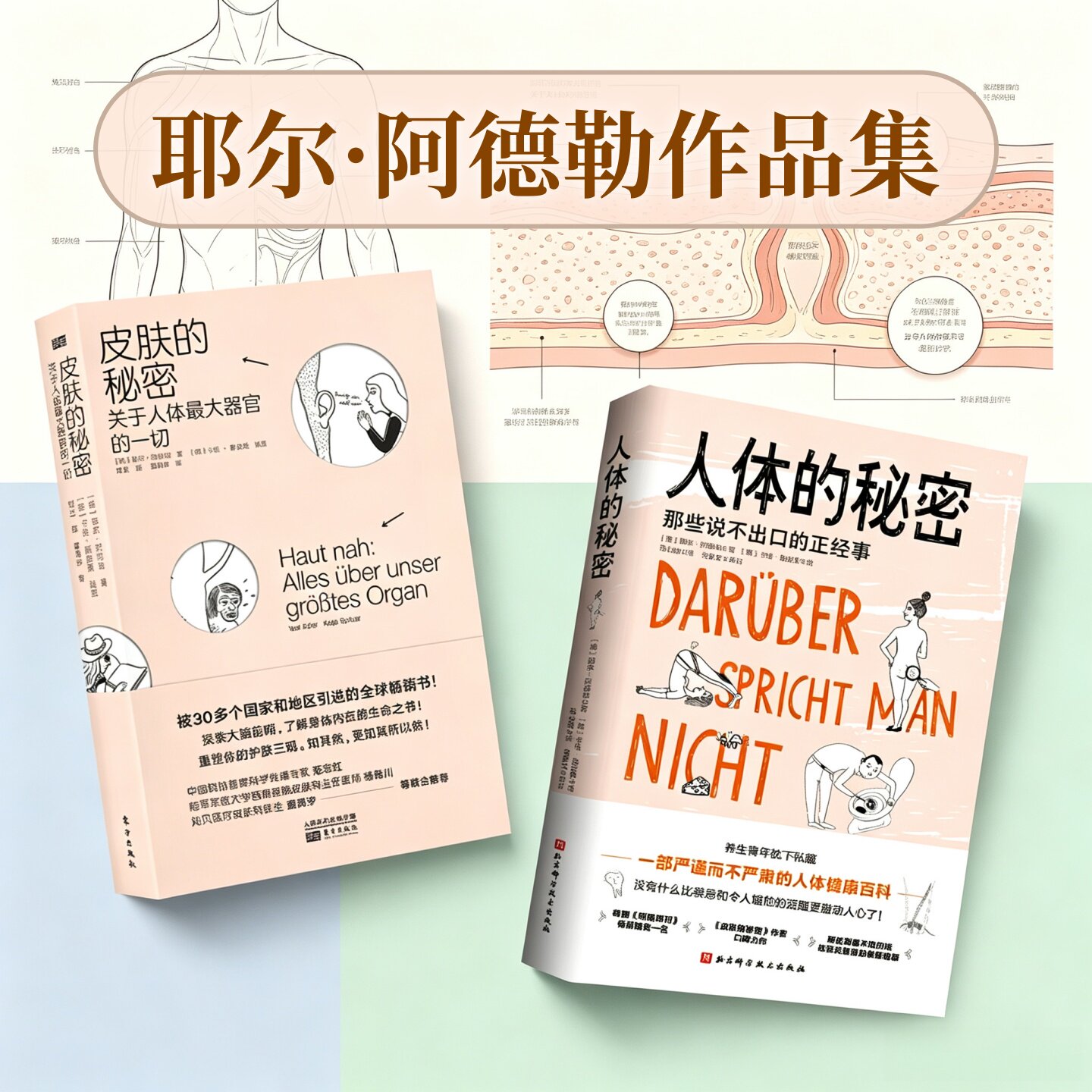 皮肤的秘密关于皮肤的17堂课