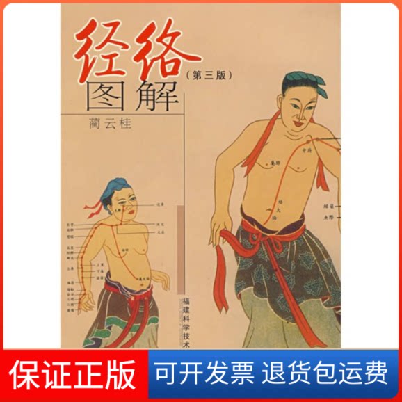 【保正版】经络图解(第三版)蔺云桂福建科学技术出版社9787533528911