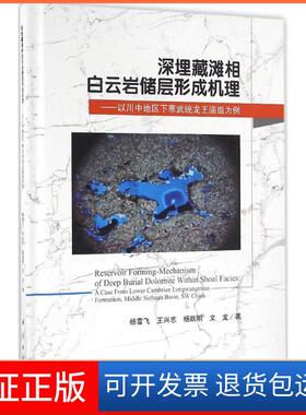 【正版新书】深埋藏滩相白云岩储层形成机理以川中地区下寒武统龙王庙组为例杨雪飞王兴志杨跃明文龙科学出版社