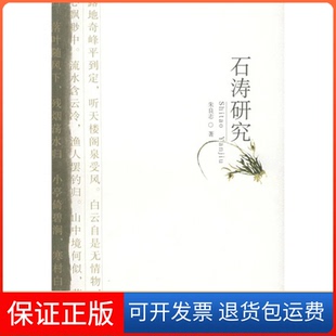 【保正版】石涛研究朱良志北京大学出版社9787301086537