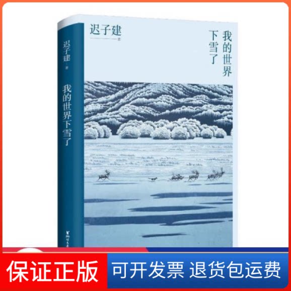 【保正版】我的世界下雪了（温暖与百感交集的旅程，茅盾文学奖得主迟子建散文自选集，极地的生活世界的文学）迟子建