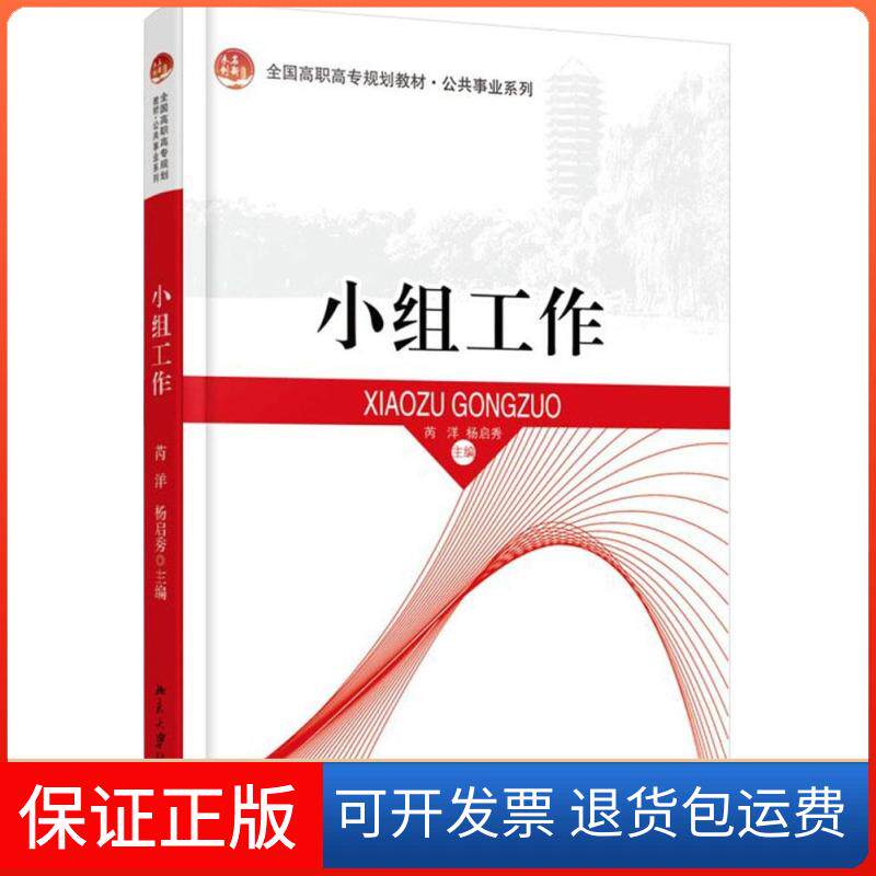 【保正版】小组工作芮洋,杨启秀 主编北京大学出版社9787301238288