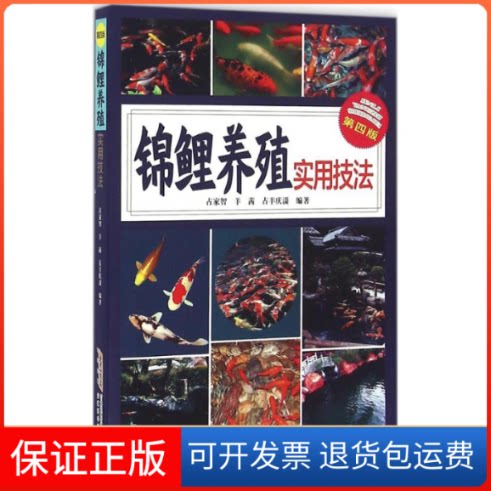 【保正版】锦鲤养殖实用技法占家智,羊茜,占羊庆潇 编著安徽科学技术出版社9787533769956