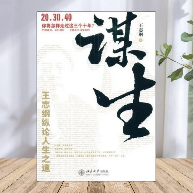 【保正版】谋生 王志纲纵论人生之道 王志纲 著 北京大学出版社