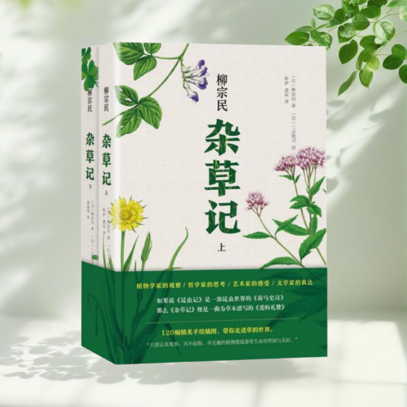 正版书】杂草记 全两册 烨伊 虞辰 曹逸冰 译 柳宗民 三品隆司 绘 四川文艺出版社9787541145711