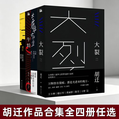 胡迁作品合集全4册大裂