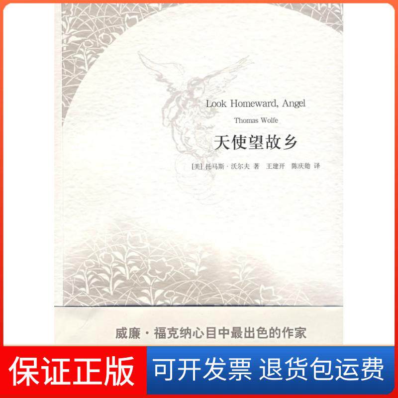 【保正版】天使望故乡(美)沃尔夫 著,王建开,陈庆勋 译上海译文出版社9787532748198