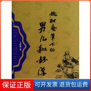 男儿和好汉王海龙上海文艺出版 施耐庵笔下 社9787532150052 保正版