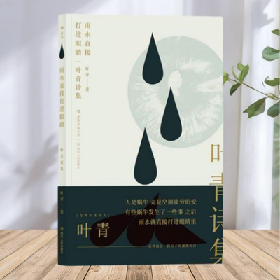 【保正版】雨水直接打进眼睛 叶青诗集 叶青 四川人民出版社